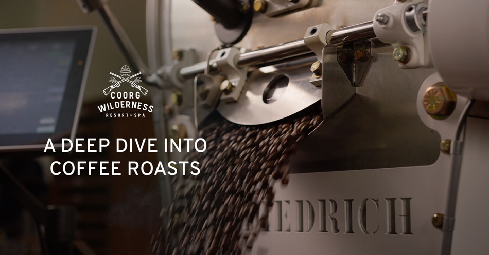 From Light to Dark - A Guide to Coffee Roasts and Brewing Techniques